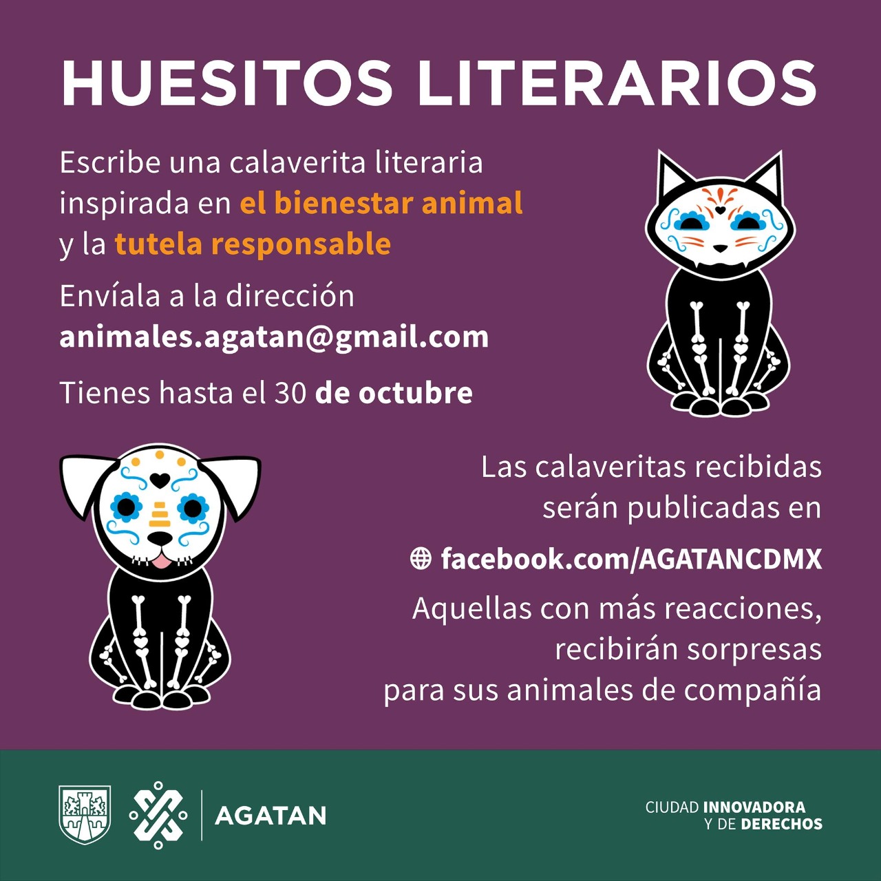 Sedema realiza concurso de calaveritas literarias para fomentar el